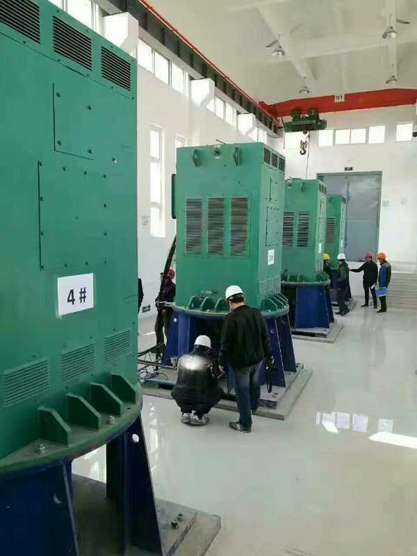 Y4002-2-250KW某污水处理厂使用我厂的立式高压电机安装现场