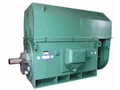 Y4002-2-250KWY系列6KV高压电机